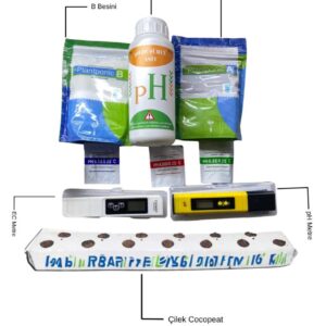 Çilek Başlangıç Seti