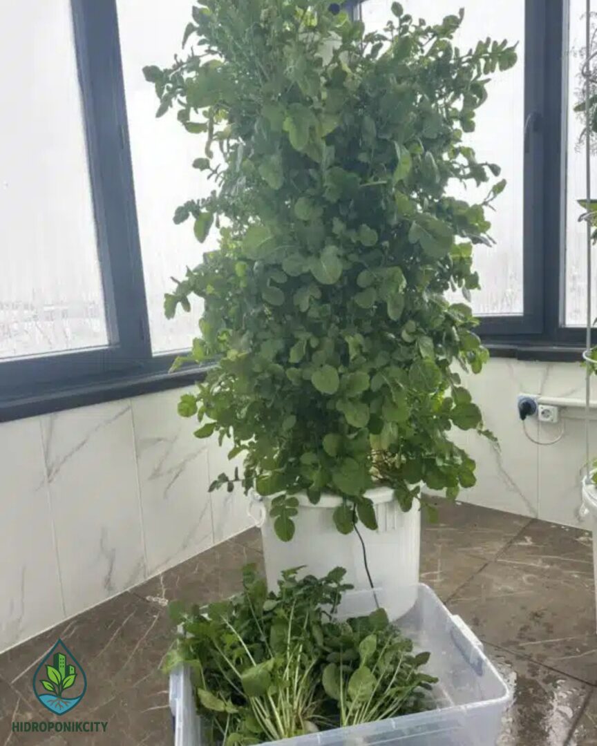 Dikey Kule 40 Gözlü Topraksız Tarım Hobi Seti – Avrupa Modeli | Hidroponik City - Görsel 6