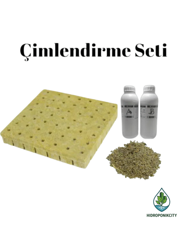 Hidroponik Çimlendirme Seti – Hidroponik City ile Topraksız Tarıma Başlangıç