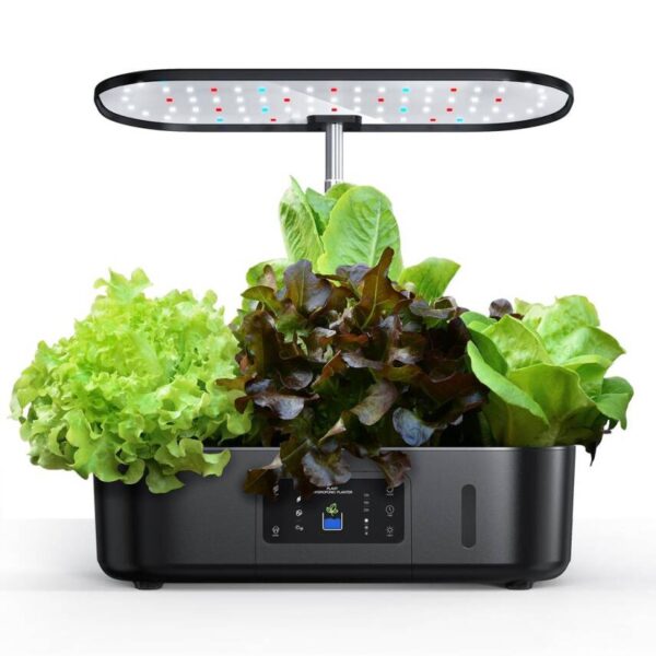 Kitchen Box