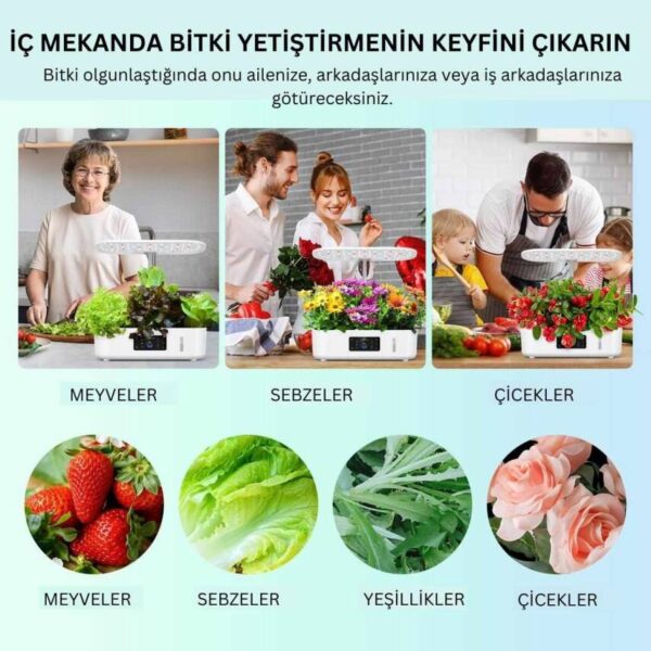 Kitchen Box