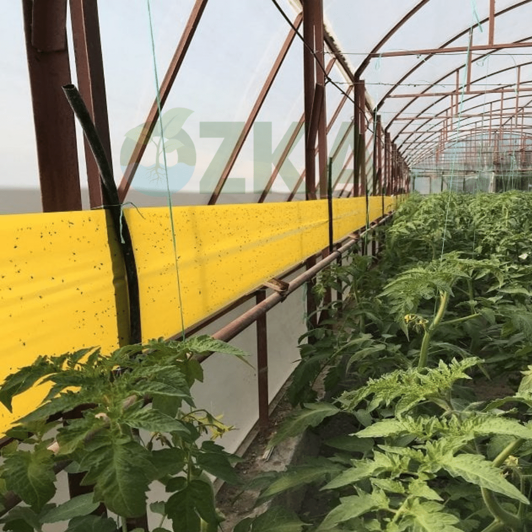 Yapışkan Rulo Tuzak 30x100 Metre (Sarı) – Geniş Yüzeyli Haşere Kontrolü İçin Profesyonel Tuzak - Görsel 2